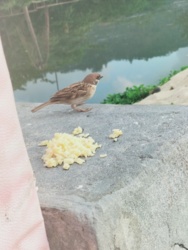 52561c1c-0d0e-4a5a-8efc-6d8efc749b9d