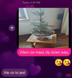 2d50cbca-cdc4-4793-9d70-875fee8ee50a