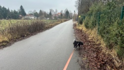 061f5daa-9c80-4ce8-a37b-6cccbdbe7832