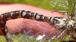 47f6bc12-fe2b-497d-b224-9f2d69a7d0dc