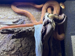 15ed1102-f205-486f-aeac-a9bcba1130bd