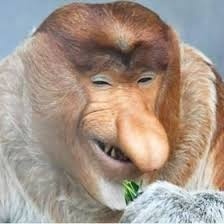 d0d2dbee-0cab-4176-9d39-7c614007347c