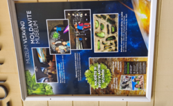 8ec372c9-8e0e-490b-91d3-333ec539db3e