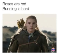 b3731244-aac0-4fc3-aee6-d9736de90b44