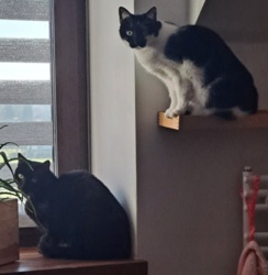 4f32c9aa-4b13-43c0-97cc-79a624cc1cad