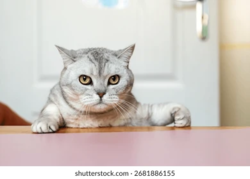 c279bf70-e974-430c-9925-4e241f393532