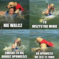 a9826a97-f832-498d-b4db-87c858fcac80