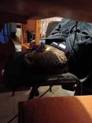 6e3356b3-83f8-4645-a6be-803ac9adcf84