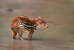 ea782c72-a363-4a79-bee2-bf879742dbd7