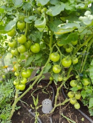 ea6b5bb3-34a2-489f-baa3-377358326e4d