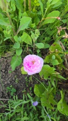 aeda1c31-f293-4d1d-bb3f-a24596d34005