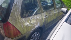 7273ff87-34de-4117-9b4b-f45dbbf212ef