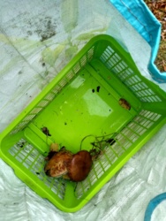 ab5c945b-72c3-4c5f-9509-c77bc115a635