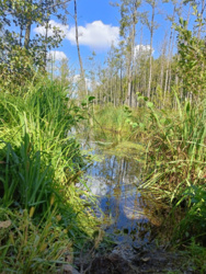 ea4dd3f5-2424-4af3-9645-e01441b32d92