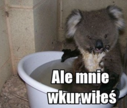 a95ef58a-038b-4dab-9cb3-ef391110ecd2