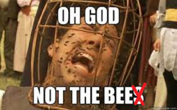 89bfe965-a2c8-498f-809e-acc73706b0ff