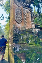 58f4a94e-f5f9-4772-ba46-df7a9d8d1032