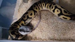 dfdb9929-79a0-4683-b899-7b167c7a4f3f