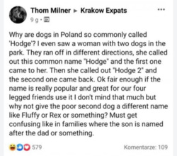 35b30126-280b-49ca-b1a0-f56bbabdff43