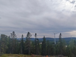 ef83ab20-a00e-4547-942d-10e6bda70742