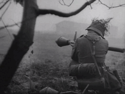 2c565569-72d1-4502-9b01-61a0bf11269b