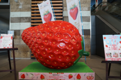 7c00519c-ea57-4a56-9920-505b5c3fefc0