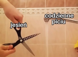 506fbf34-8167-457d-ac94-bb2ac9c74923