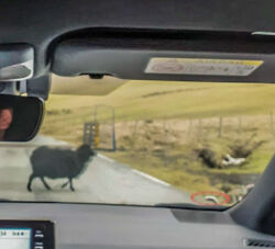 afb14102-cd8c-4d9c-bcfa-64a1d6681994