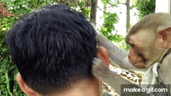 989cb5a0-75ba-4a5e-91c0-696299baef15