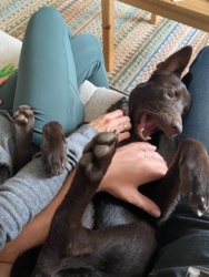 7c761813-218d-4d27-a64b-6436a584c977