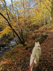 b597bc48-9310-4472-8806-301c442e0796