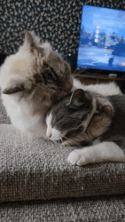 fb5bfd63-8b74-46f0-89c4-f7bf41d6d05c