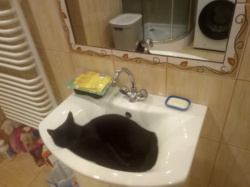 762bfaaf-0634-41c9-ad21-236a0ca7be64