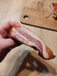 2bd0da1d-b17c-4c81-963d-e916eeb2321b