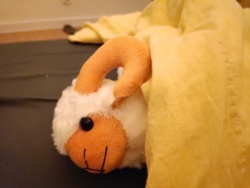 5dd07efd-a0e5-463f-b938-0a62515b8505