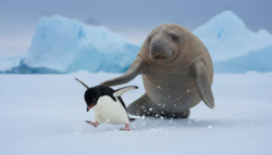 27bb4126-5046-4aff-9620-4dcdc2431c02