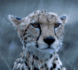 6abce764-f68f-43f5-8495-d1f3bd68ecd6