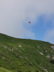 24209a76-f858-439b-a3c9-6197523c3095