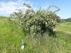 82305fb5-a69e-43fb-b314-8926c7e00dd1