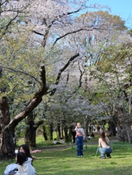 ede7a096-06a1-49ea-bc32-cd43fe42a44d