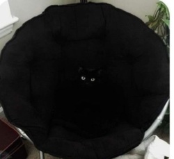 3f0afbb8-ccb1-4629-97df-2f2d812db1cb