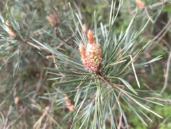 061f6d4e-bd26-478f-9d85-32467b5ba78d