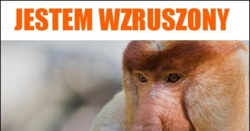 be38b682-aedf-46fa-a7de-9b99723353b2