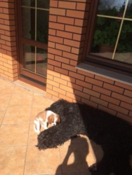 31144071-102b-45e9-b6aa-a5d503784c47