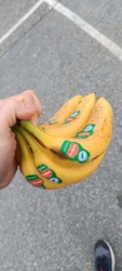 99978353-8544-4b92-a244-dae528e4668b