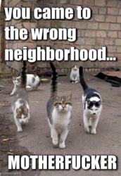 8270f9ec-987d-48c7-8cc0-46eeb0b61cc6