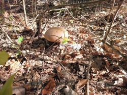 0dc69b6b-f658-483a-bb88-af6bbb78a64e