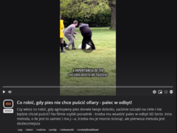 51f7e3ea-9039-48c6-be02-c172e5e39e67