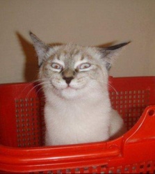 6c20aab6-a15a-4502-a3d5-2f6cb230b852