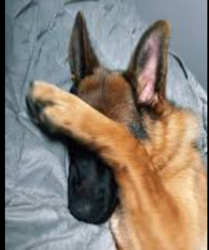 6bf73e3d-d2ac-4458-96ad-2d4bf5762b68